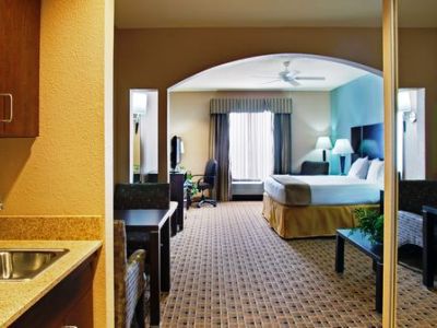 Holiday Express & Energy Corridor - West Oaks By Ihg Houston